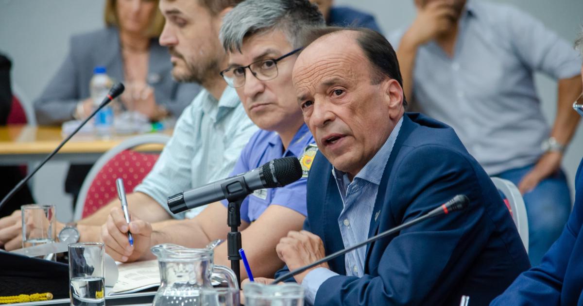 El ministro de Seguridad Horacio di N�poli en la Legislatura