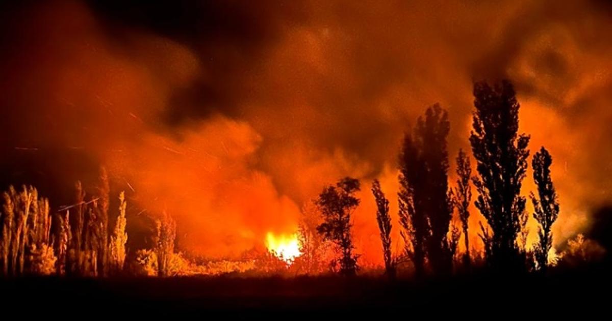 Las llamas alcanzaron los 6 mestros de altura