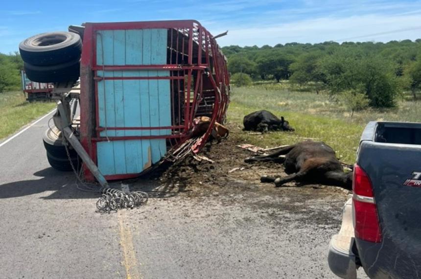 El camión quedó sobre la calzada de la Ruta Provincial 14