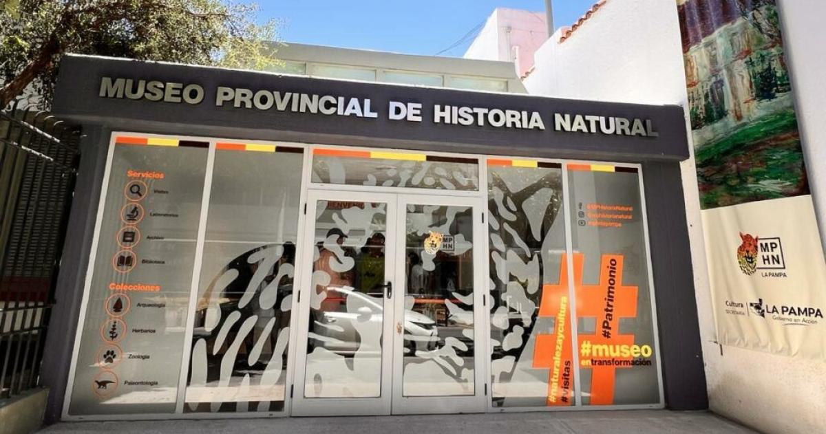 Exhiben valiosa coleccioacuten paleontoloacutegica en el Museo