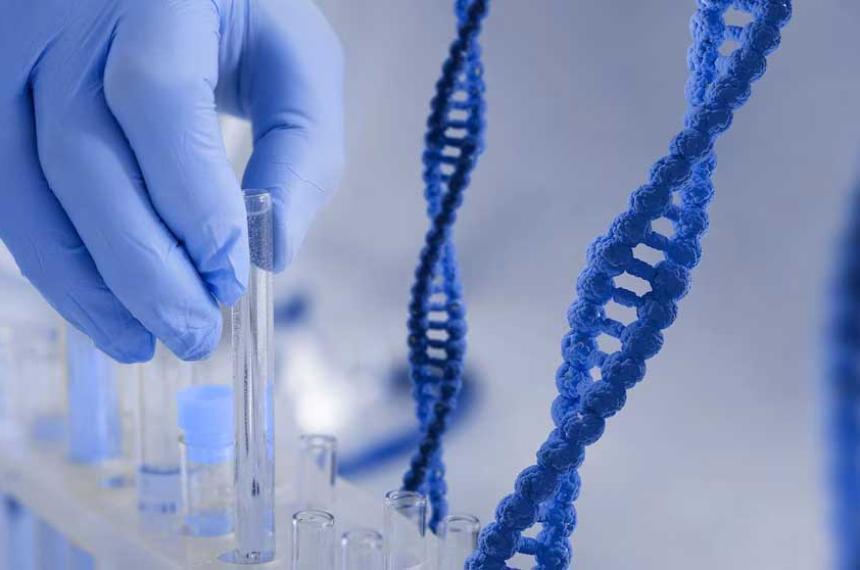 La herramienta genética PERT podría corregir mutaciones sin sentido en el ADN clave en enfermedades hereditarias graves