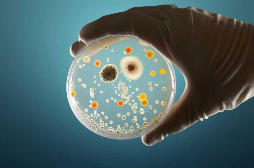 iquestEs un mito la regla de los tres segundos cuando alimentos caen al suelo