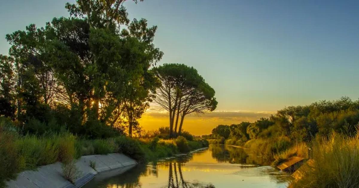 Los suelos son heterogéneos pero la mayoría son totalmente productivos