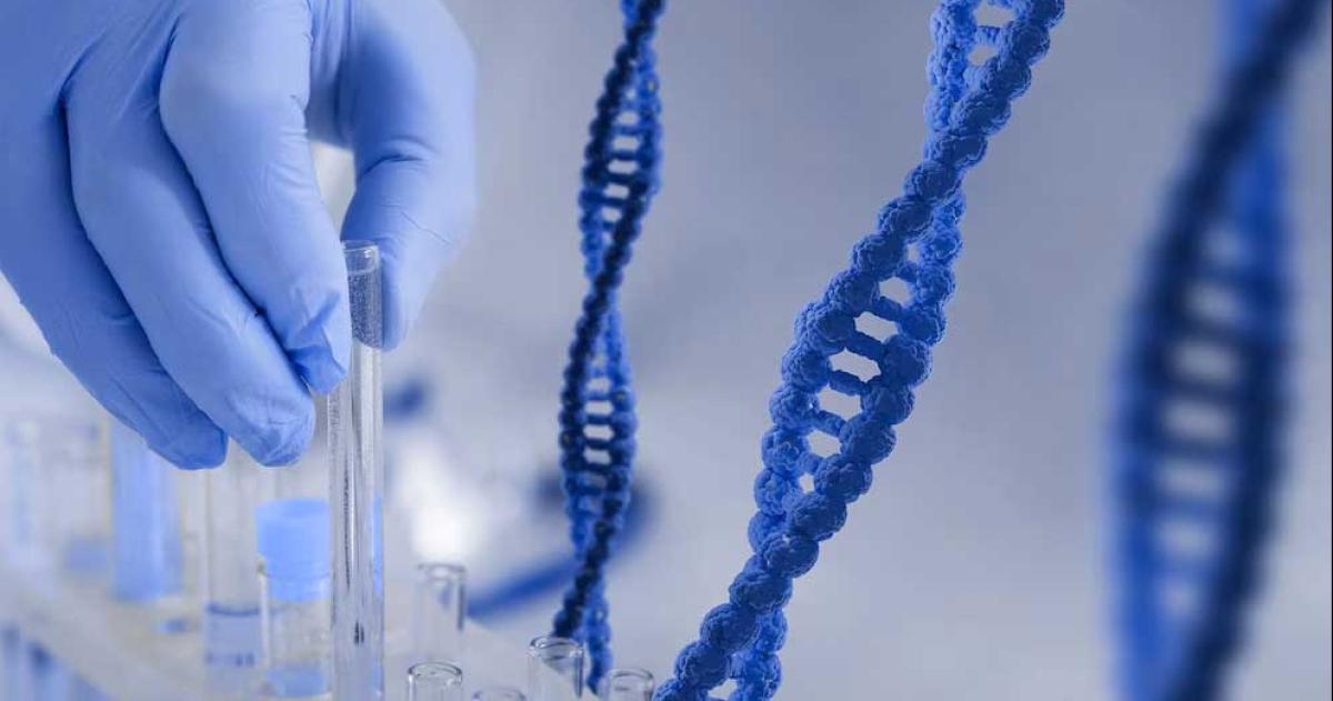 La herramienta genética PERT podría corregir mutaciones sin sentido en el ADN clave en enfermedades hereditarias graves