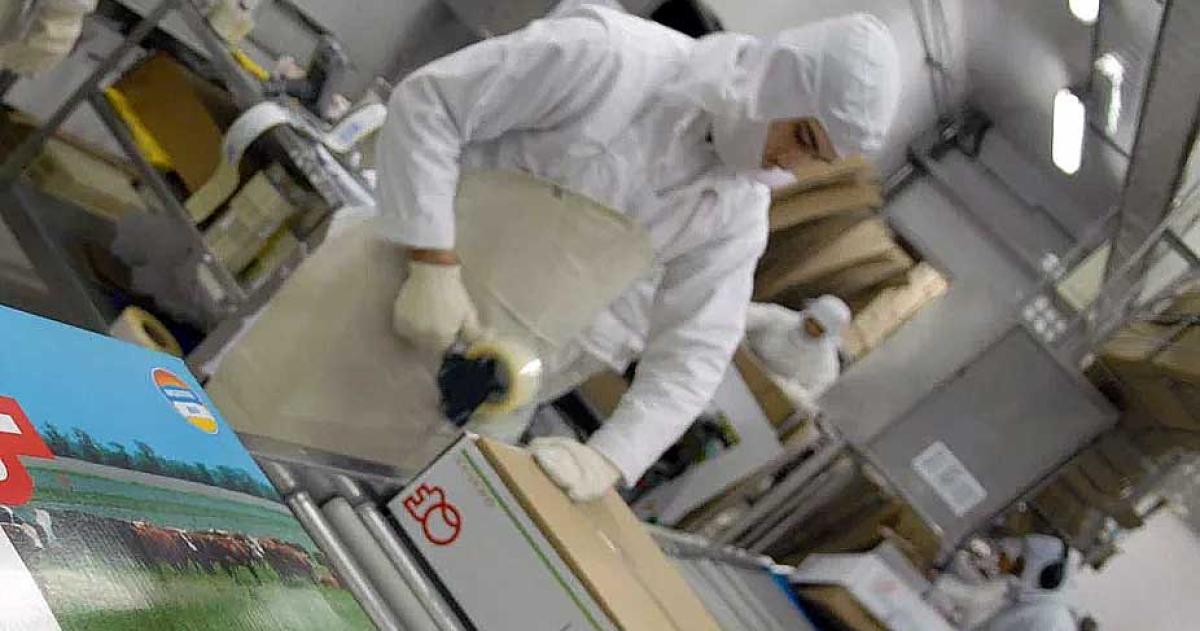 Suben las exportaciones de carne