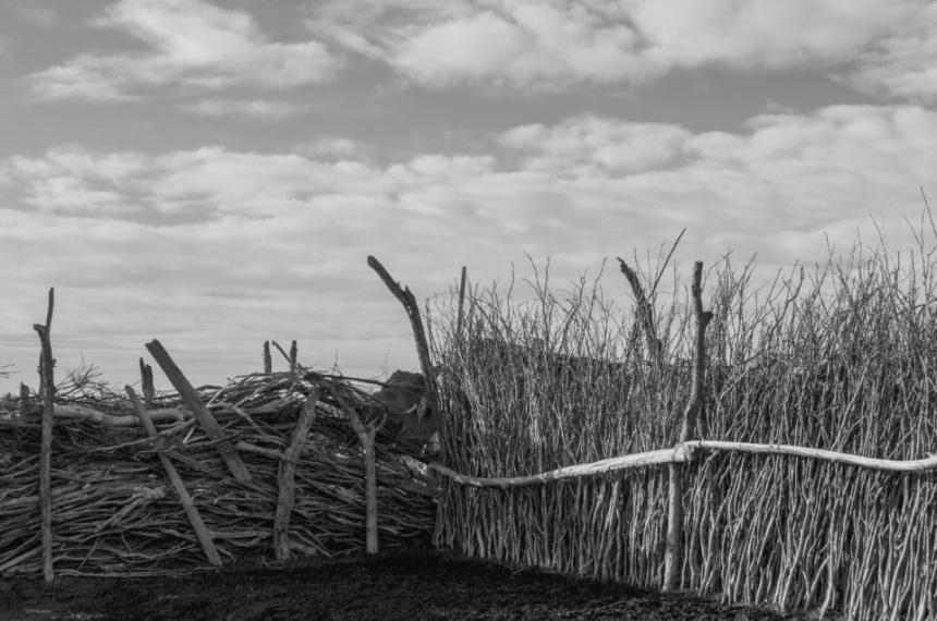La muestra se podr visitar con entrada libre y gratuita