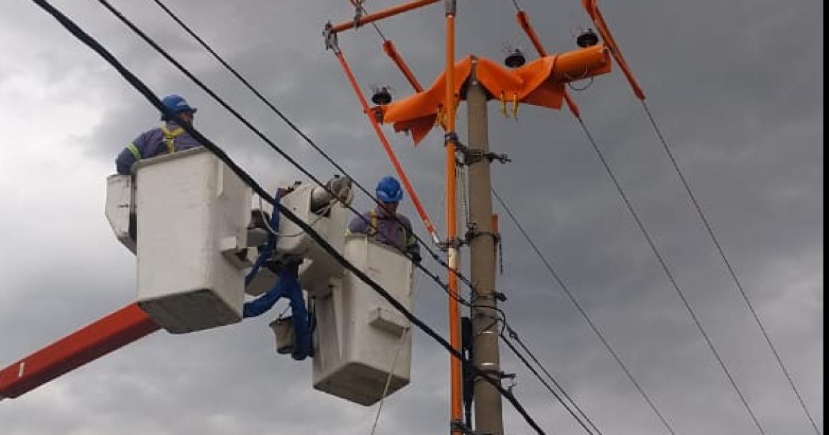 Las tareas que hizo la CPE como parte de la formación
