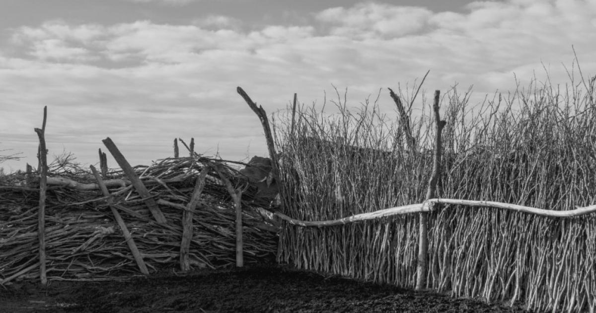 La muestra se podr visitar con entrada libre y gratuita