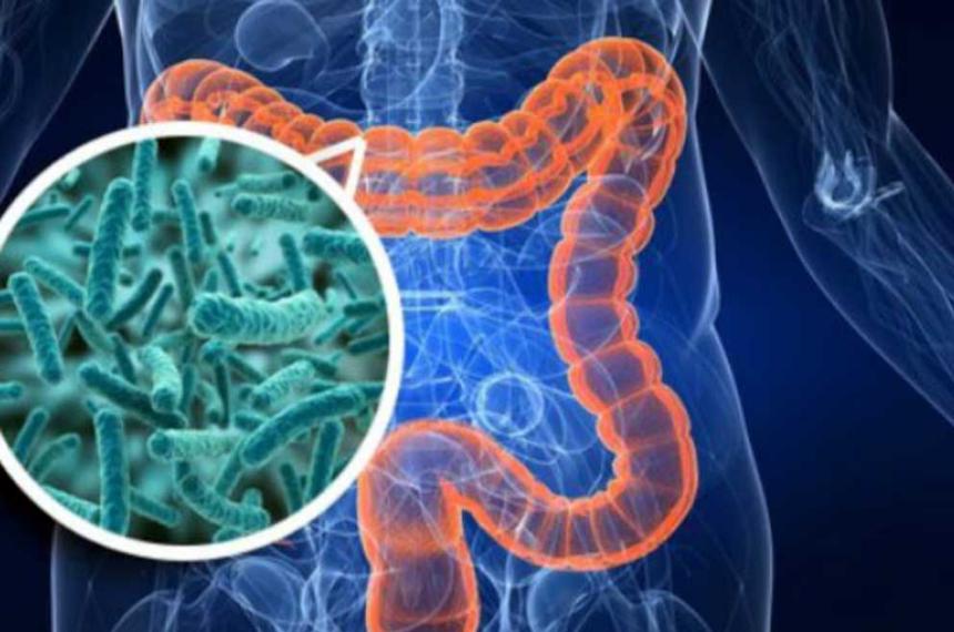 Segn Mayo Clinic uno de los ajustes ms efectivos en la dieta para mejorar la salud intestinal consiste en reemplazar snacks procesados por alternativas ms naturales y ricas en fibra