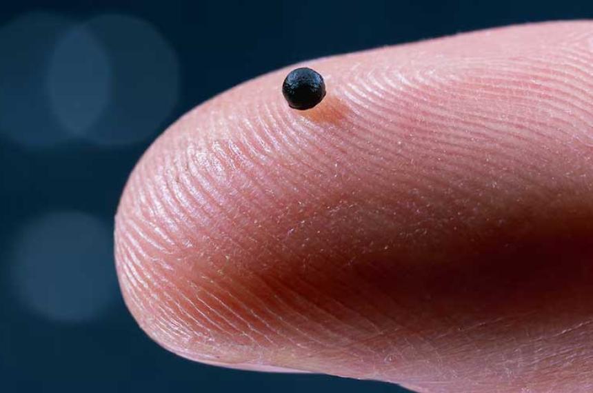 El microrobot esférico utiliza nanopartículas de óxido de hierro para responder a campos magnéticos y desplazarse por vasos sanguíneos estrechos