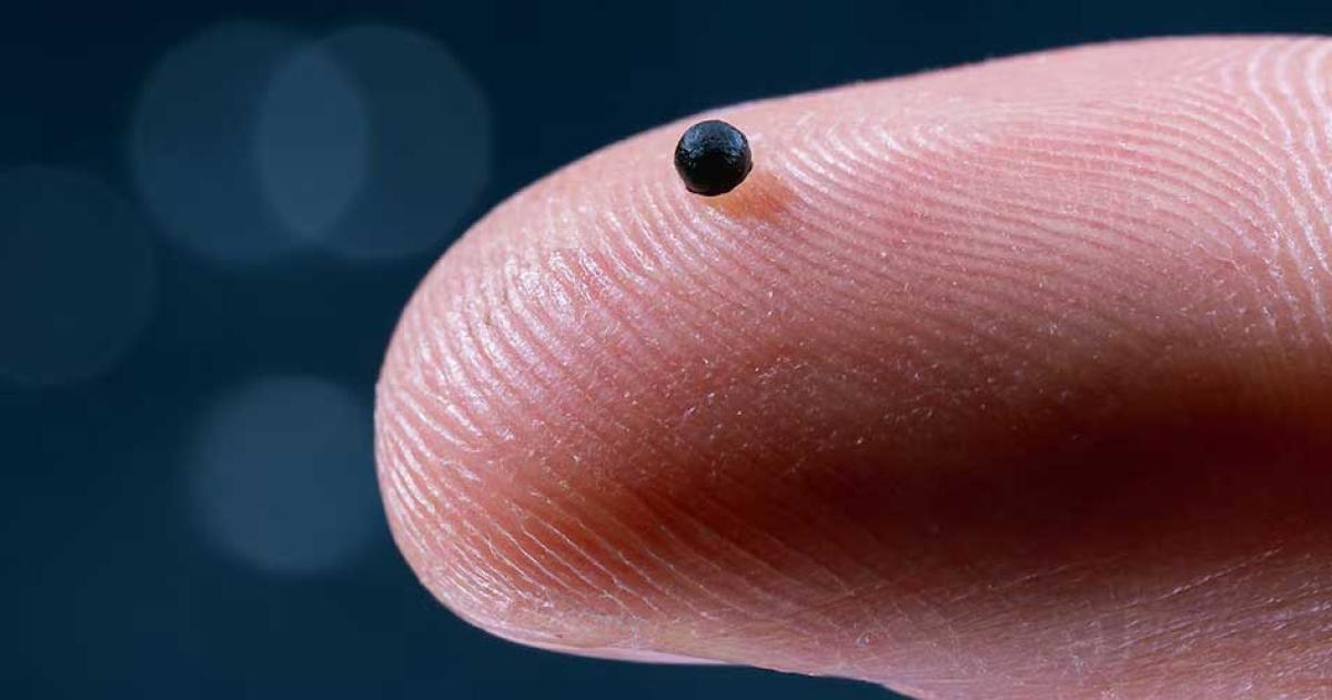 El microrobot esférico utiliza nanopartículas de óxido de hierro para responder a campos magnéticos y desplazarse por vasos sanguíneos estrechos