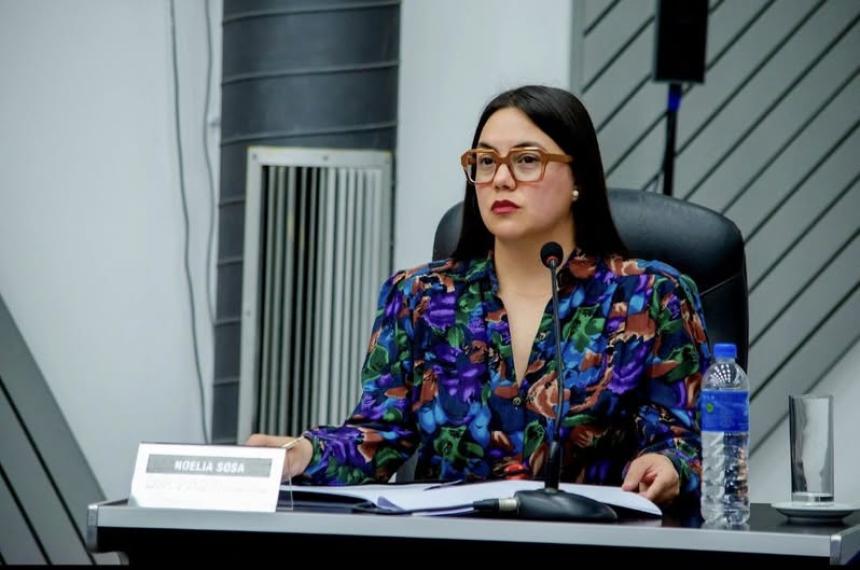 El vernismo ratifica planteos por Medanito- Un pliego mal hecho compromete recursos por deacutecadas