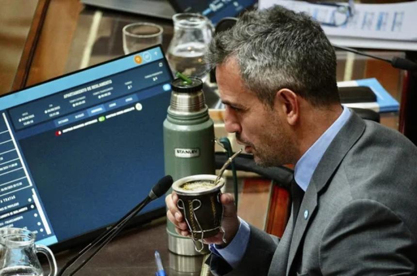 Martín Menem ser reelecto la próxima semana