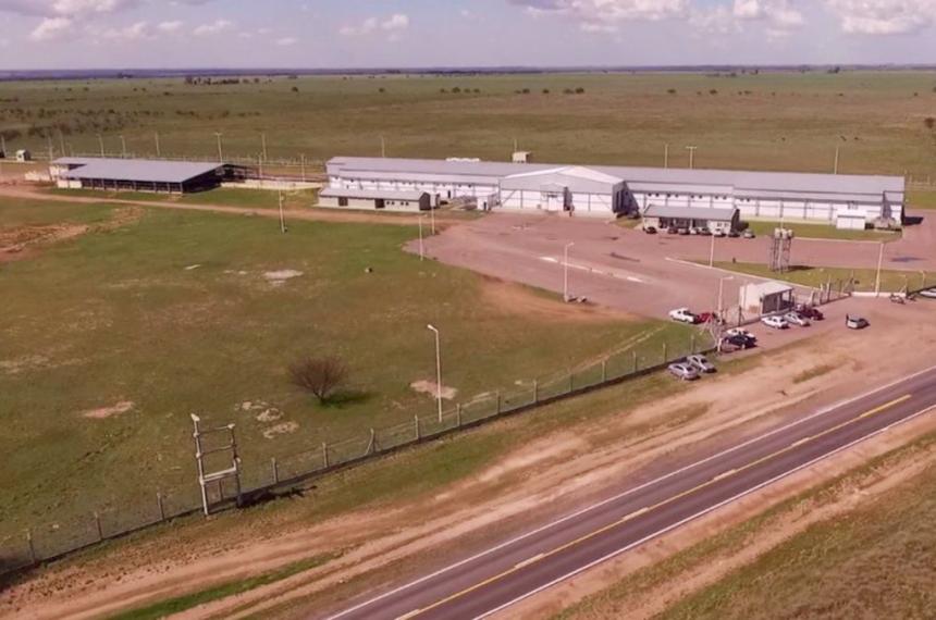 El Frigorífico HV de Bernasconi enrenta una importante crisis