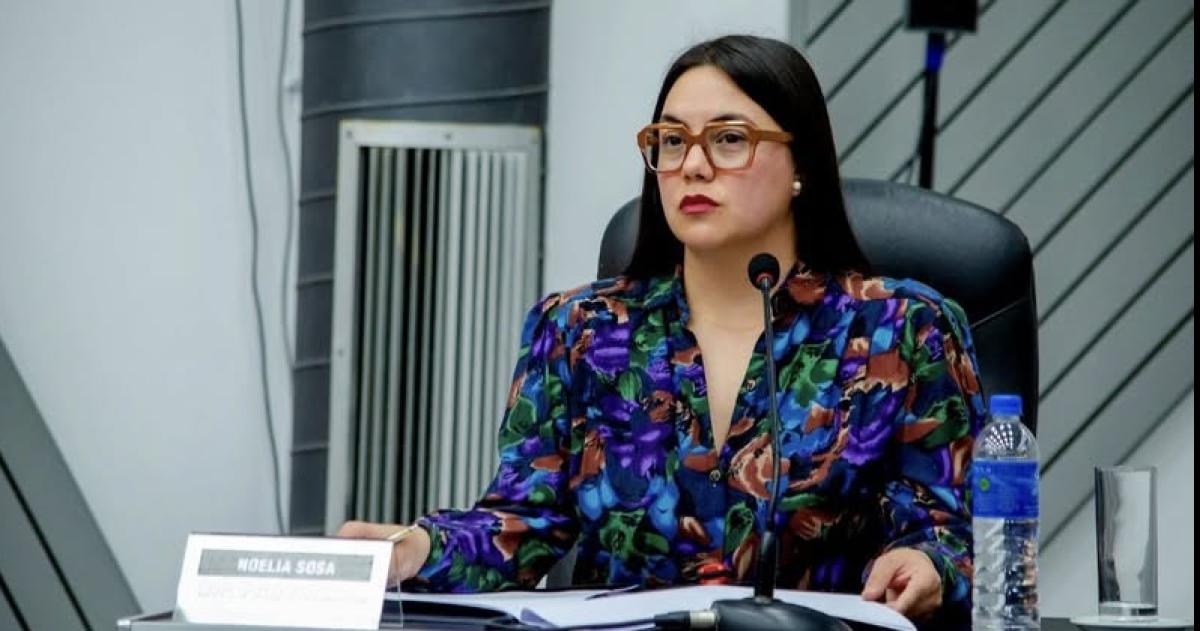 La diputada vernista Noelia Sosa defendió sus críticas al pliego de licitación