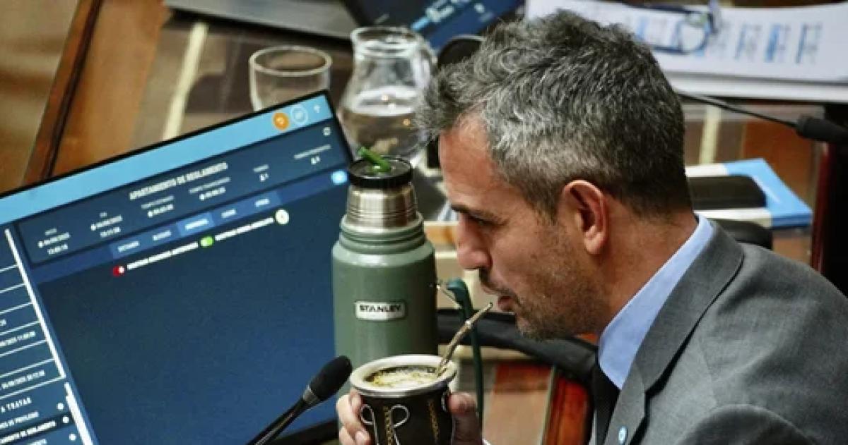 Martín Menem ser reelecto la próxima semana