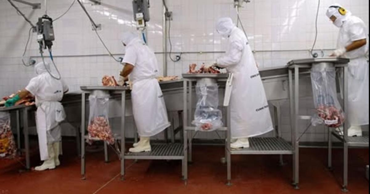 Los trabajadores del Frigporífico HV no cobraron el sueldo de octubre a pesar de las promesas de la empresa