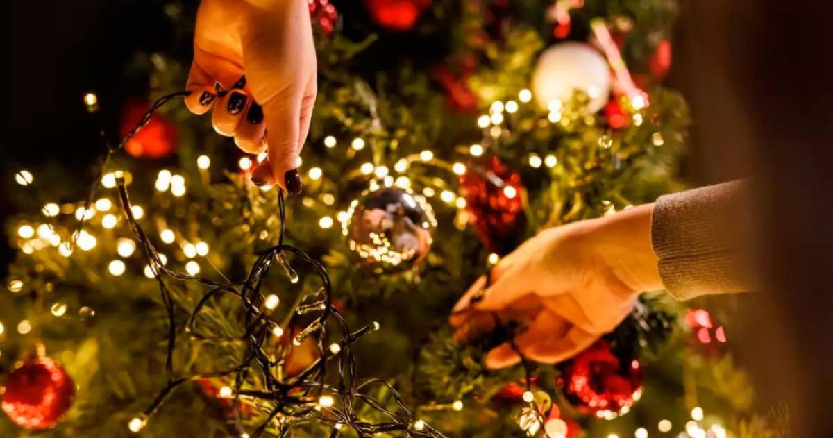 Por queacute el aacuterbol de Navidad se arma el 8 de diciembre- el origen de una tradicioacuten que une religioacuten y cultura