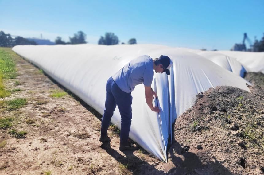 Silo bolsa- el impacto de las altas temperaturas en la estabilidad estructural