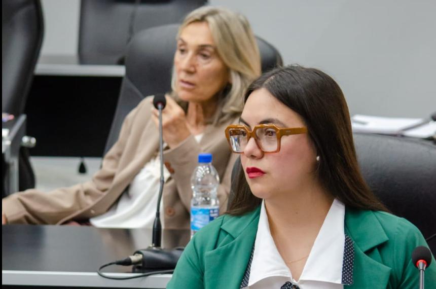 La diputada ultravernista Noelia Sosa