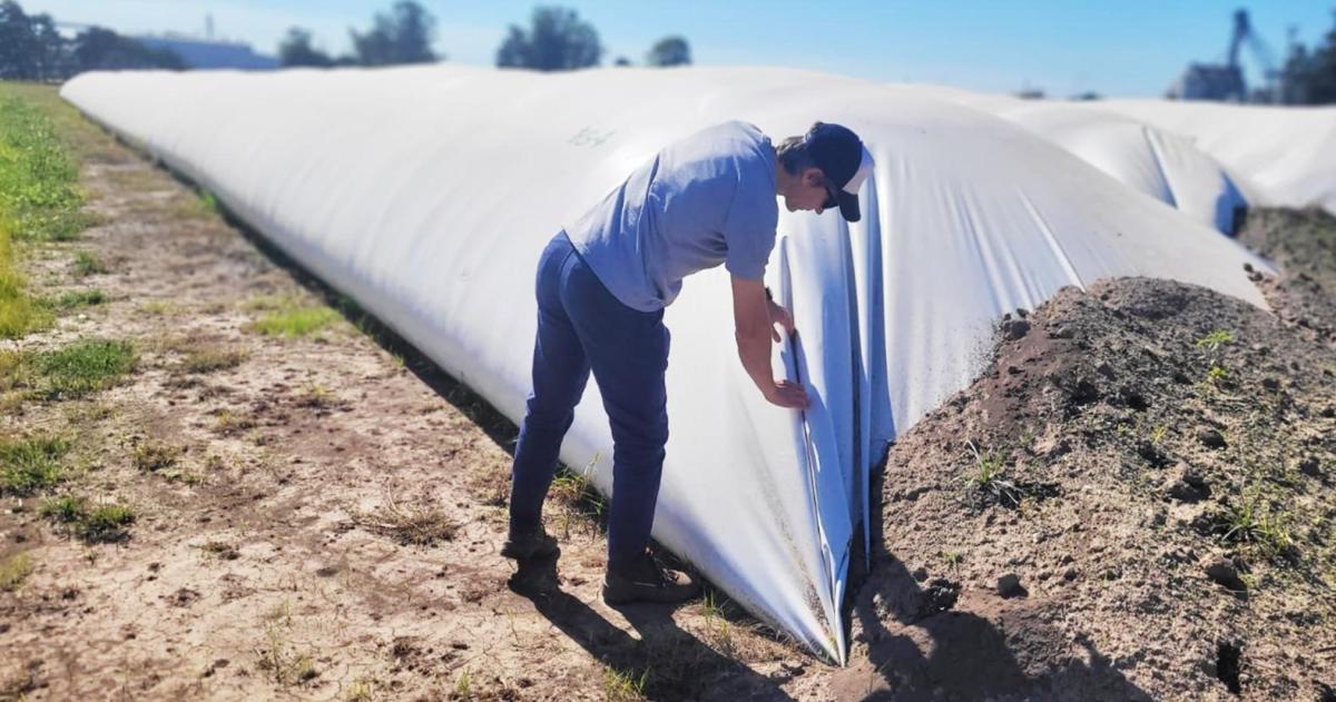 Silo bolsa- el impacto de las altas temperaturas en la estabilidad estructural