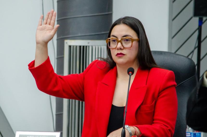 Sosa planteoacute que el pliego de Medanito crea una escena ficticia