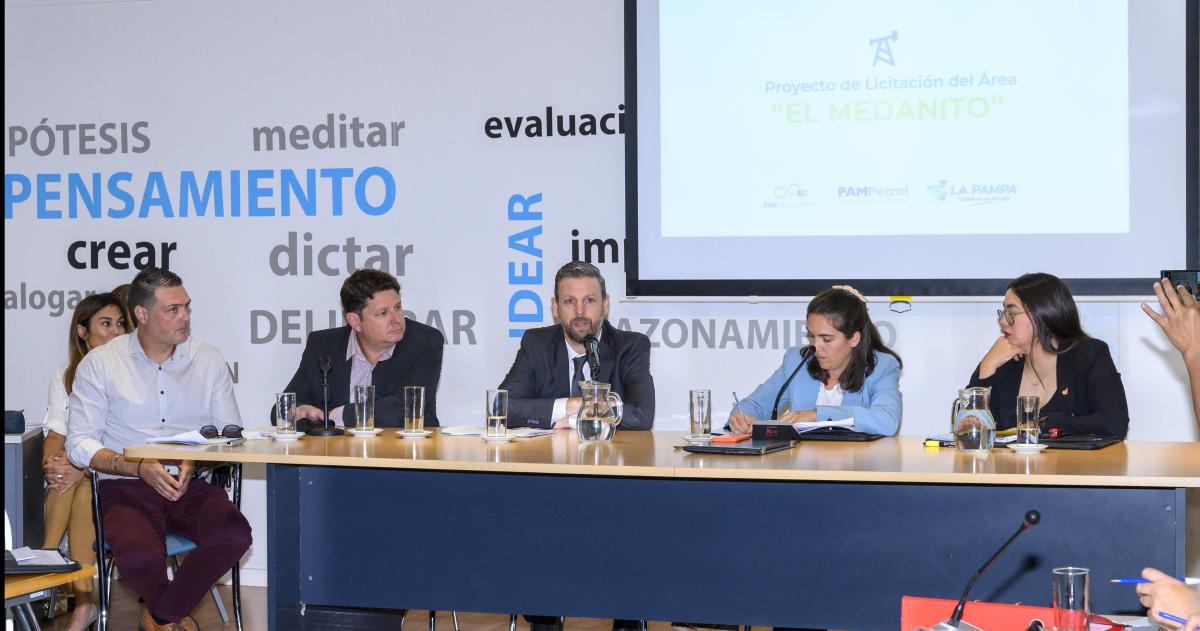 Se aproboacute por mayoriacutea el pliego de Medanito- Licitacioacuten lista para ser lanzada