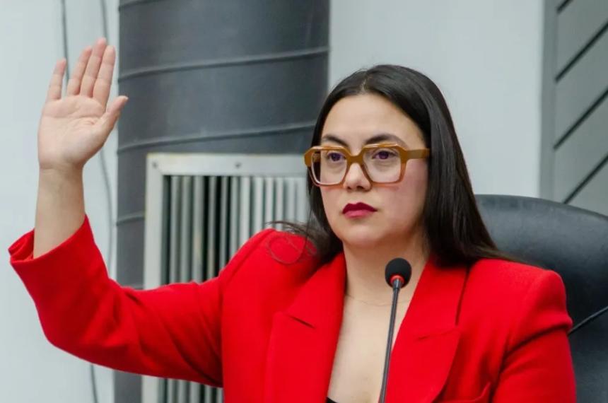 Ofensiva vernista- denuncia en la FIA por  Medanito