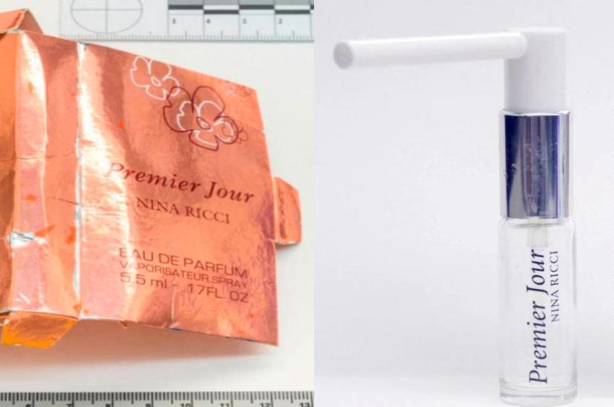 Un informe britaacutenico atribuyoacute a Putin la responsabilidad moral por la muerte colateral de una mujer en el caso Novichok