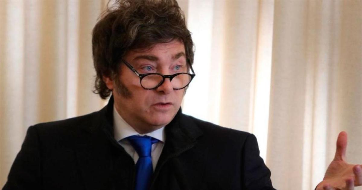 Milei defendioacute su plan econoacutemico y advirtioacute- A miacute me contrataron para resolver problemas