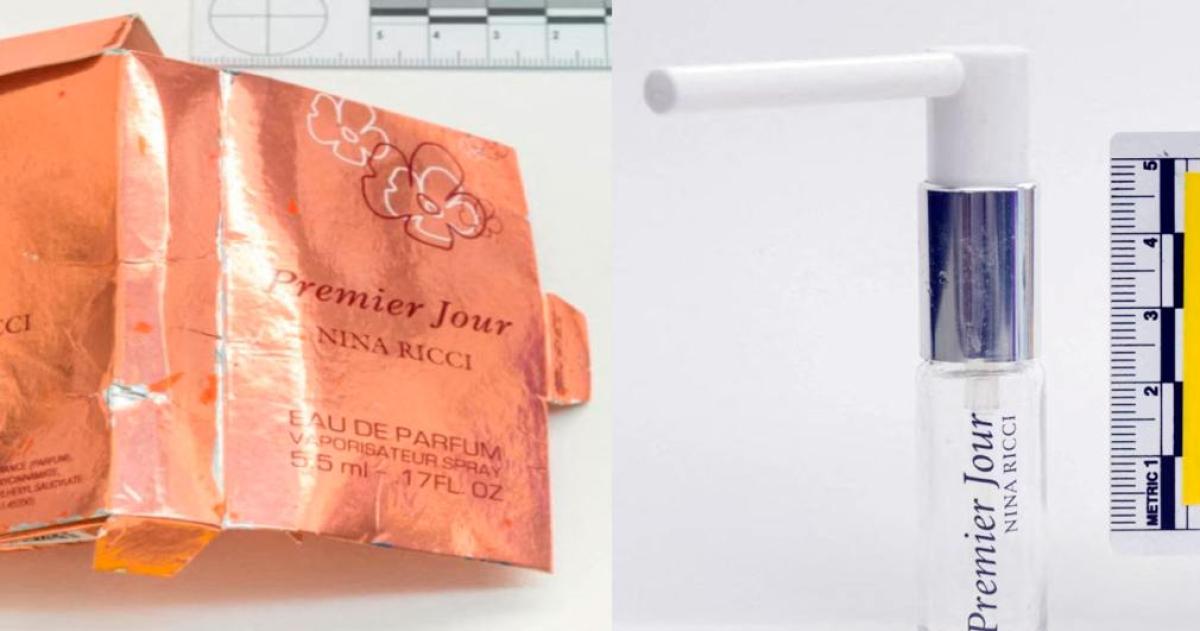 Un informe britaacutenico atribuyoacute a Putin la responsabilidad moral por la muerte colateral de una mujer en el caso Novichok