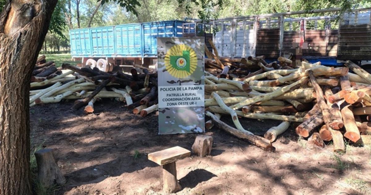 Secuestran en Victorica una importante carga de postes 