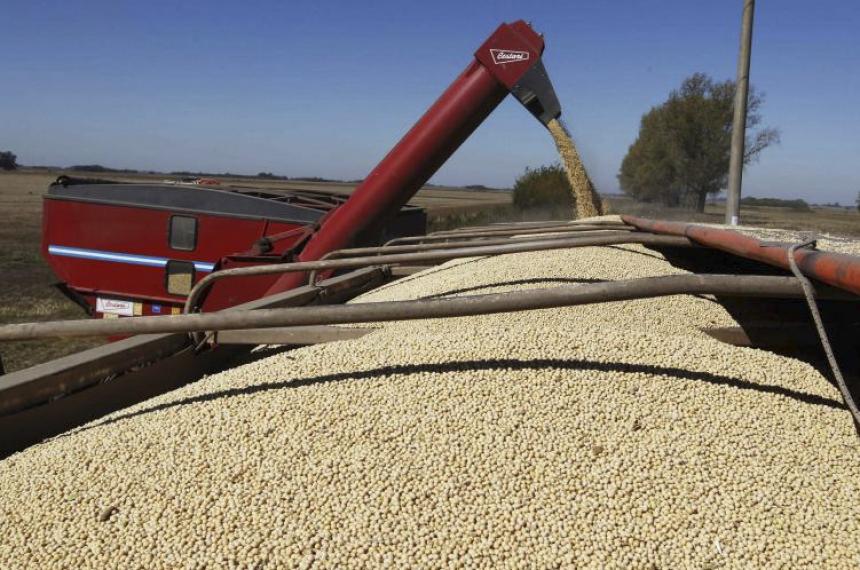 Alivio fiscal al campo- el Gobierno bajoacute las retenciones a la soja el trigo maiacutez y girasol