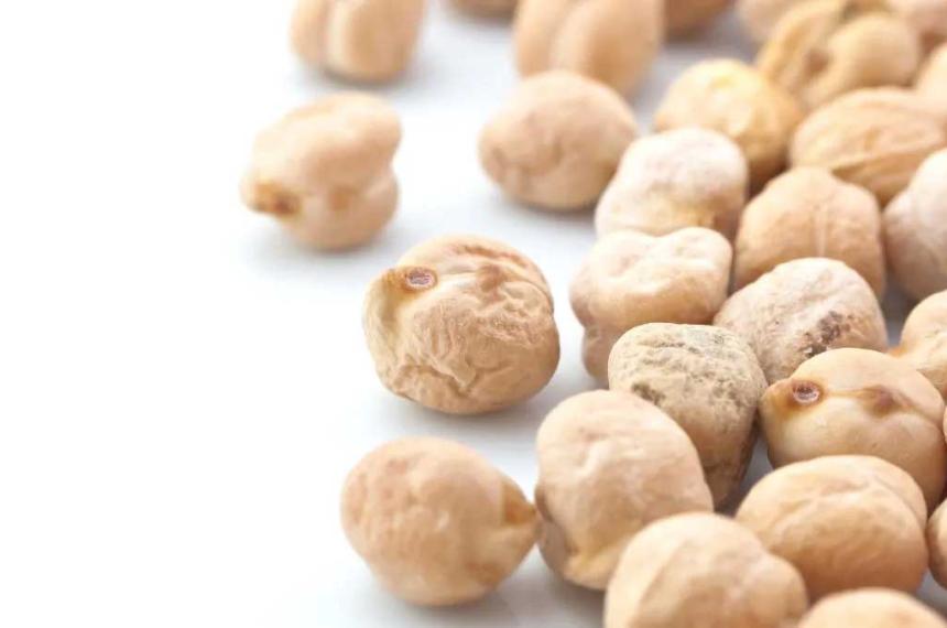 Incluir garbanzos en la dieta es una opción poco usada pero muy saludable