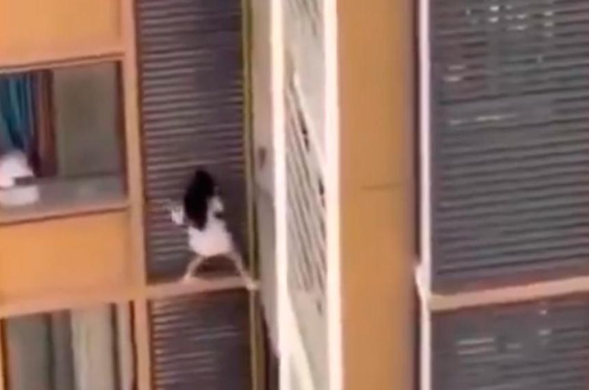 Insoacutelita huida en Arabia Saudita- intentoacute escapar de la esposa de su amante por la ventana del piso 13