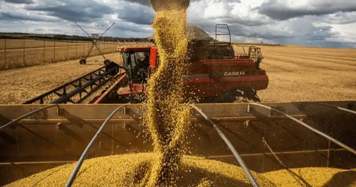 La gestión de Milei envía una señal política fuerte al campo