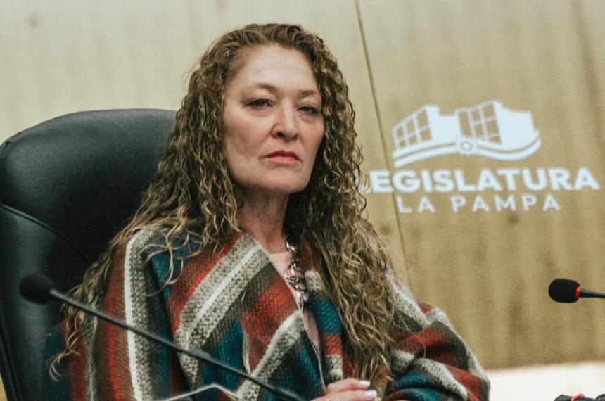 El proyecto fue elaborado por la diputada Patricia George junto a la Subsecretaría de Salud Mental y Adicciones