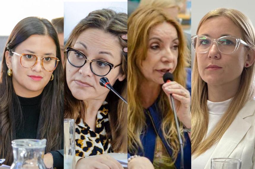 Diputadas opositoras exigen la renuncia del subsecretario de Salud Mental