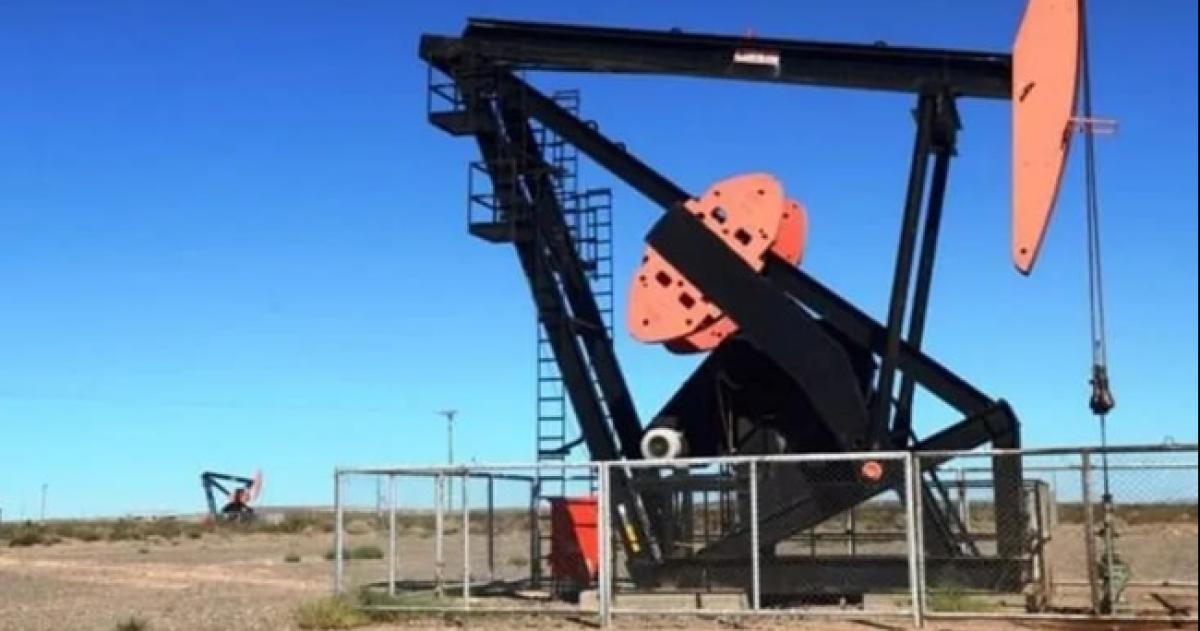 La concesión de PCR en el yacimiento El Medanito finaliza en junio de 2026