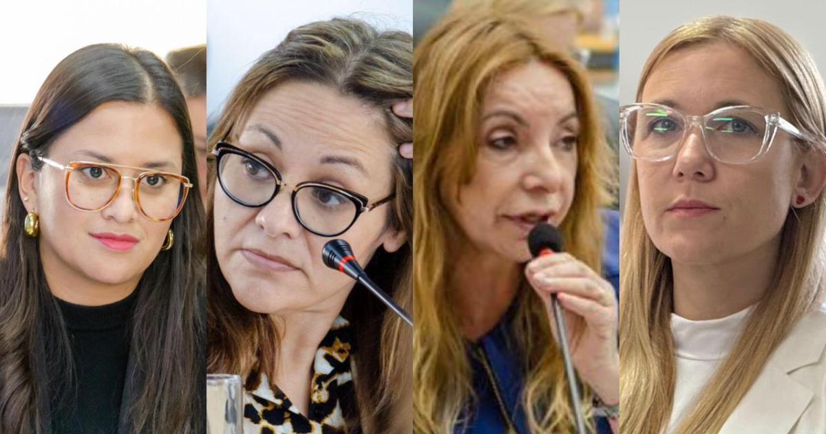 Diputadas opositoras exigen la renuncia del subsecretario de Salud Mental