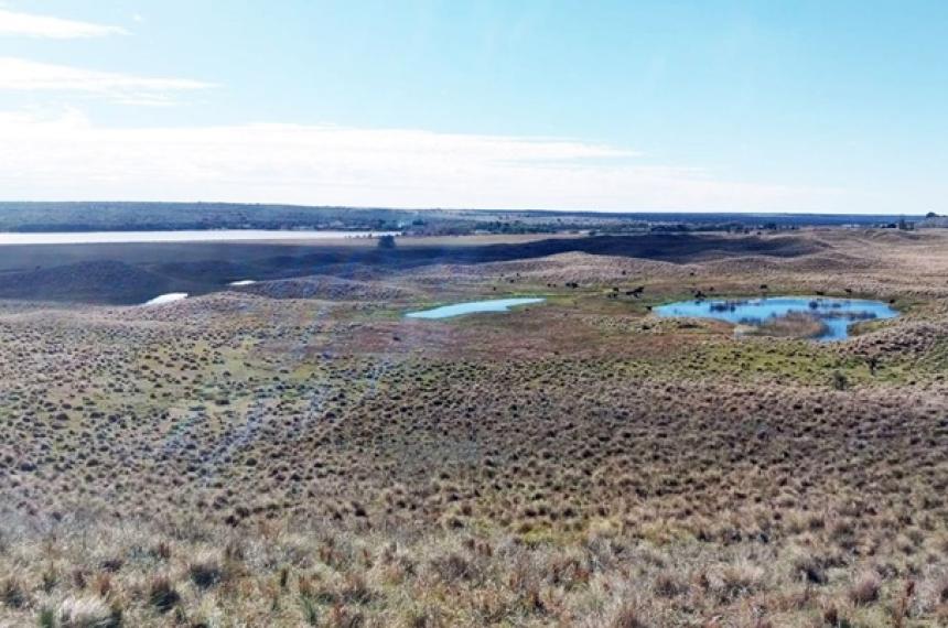 El proyecto busca garantizar la protección y preservación de la cadena medanosa del sector Valle Argentino