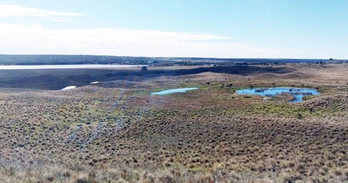 El proyecto busca garantizar la protección y preservación de la cadena medanosa del sector Valle Argentino