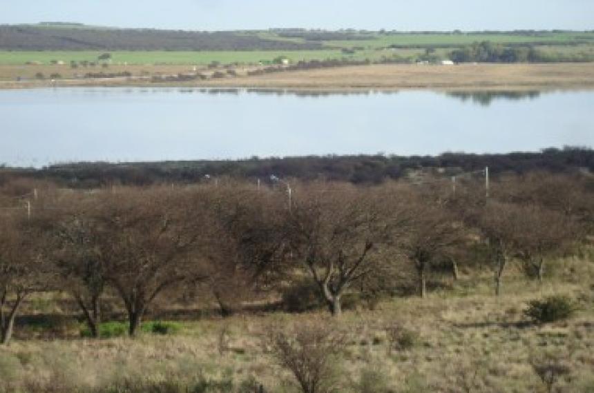 La Cuesta del Sur denunció el funcionamiento de un feedlot en las cercanías