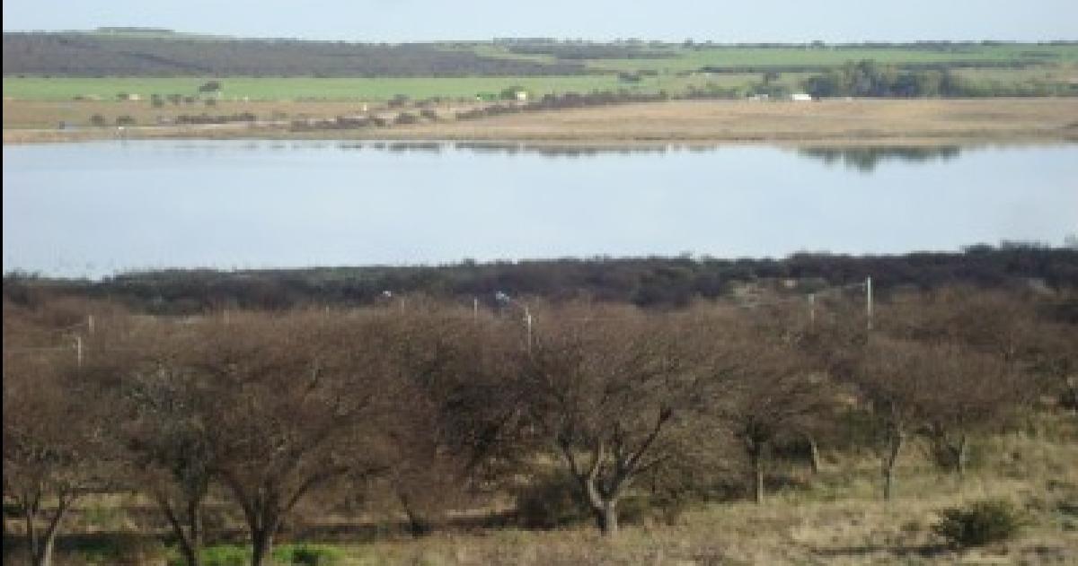 La Cuesta del Sur denunció el funcionamiento de un feedlot en las cercanías