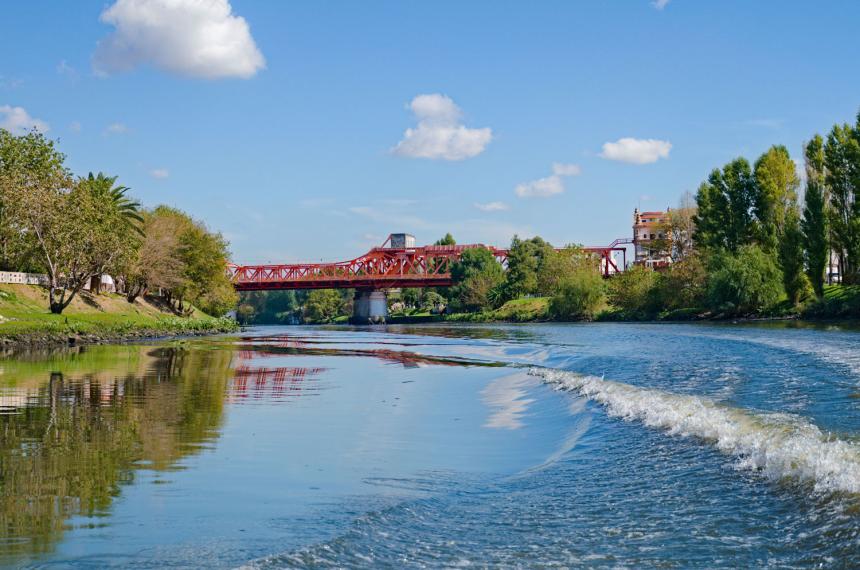 La investigación fue realizada por investigadores del CONICET y la Universidad de La Plata