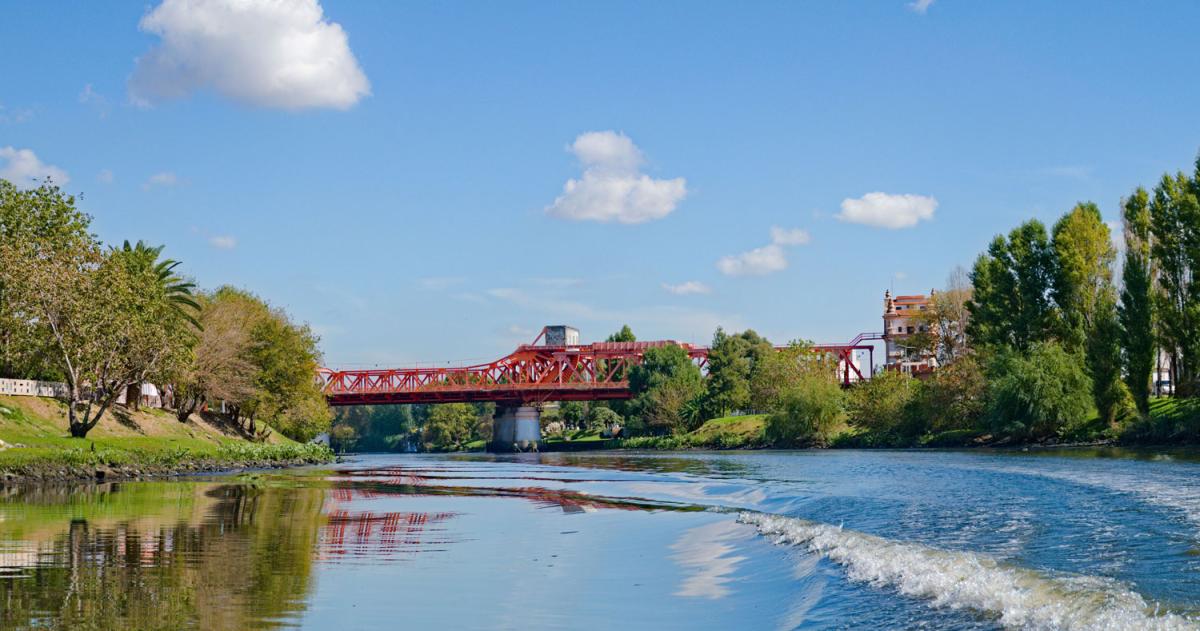 La investigación fue realizada por investigadores del CONICET y la Universidad de La Plata