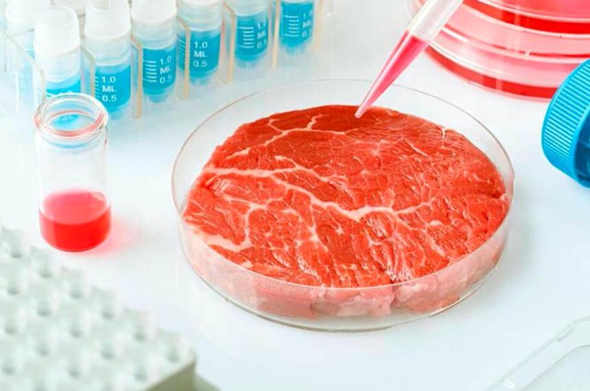 China autorizoacute la produccioacuten masiva de proteiacutena fuacutengica y dio un giro estrateacutegico en su poliacutetica alimentaria