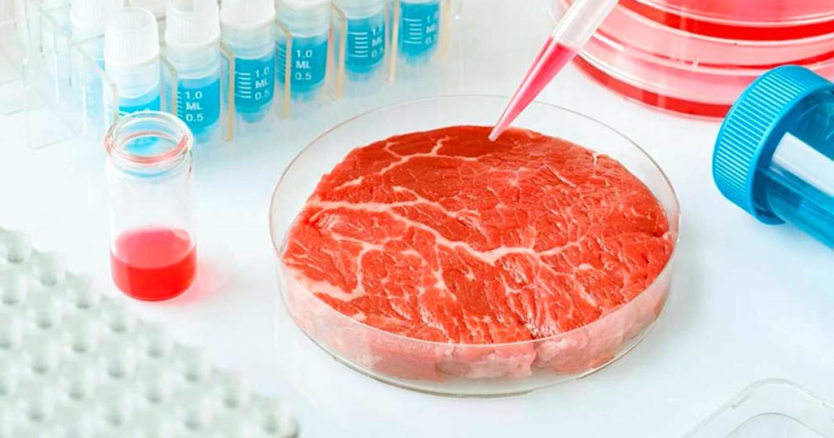 China autorizoacute la produccioacuten masiva de proteiacutena fuacutengica y dio un giro estrateacutegico en su poliacutetica alimentaria