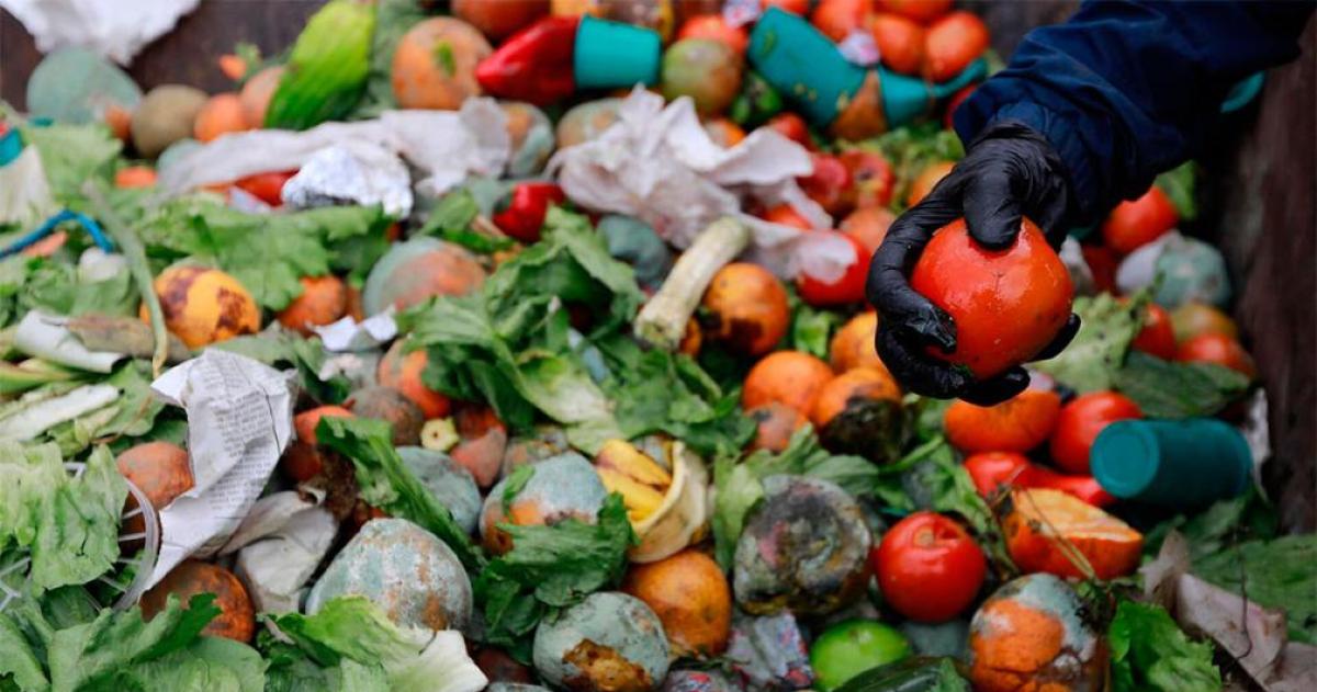 Argentina tira 72 kilos de comida por persona al antildeo y el desperdicio se vuelve un problema estructural