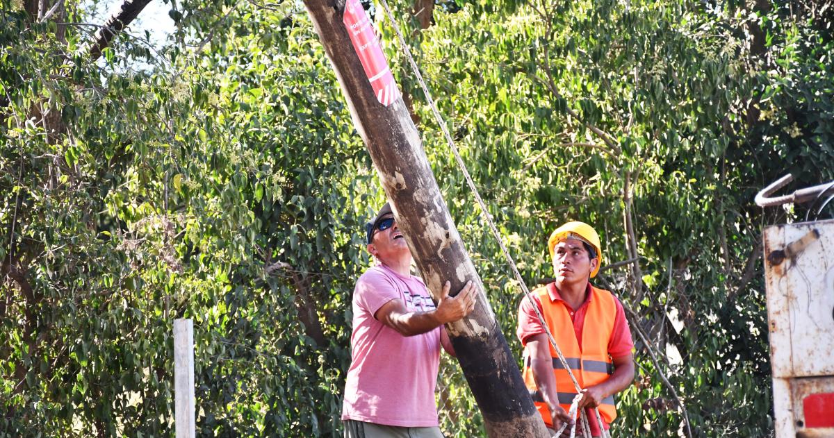 El retiro comenzó a realizarse este miércoles
